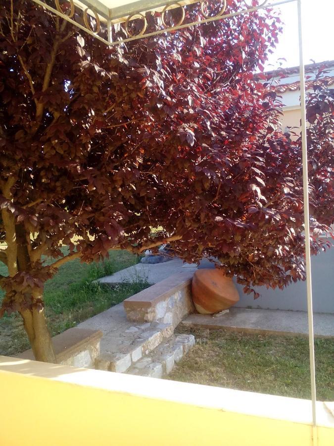 Studios Στουσ Πυργουσ Θερμησ Mytilíni Dış mekan fotoğraf